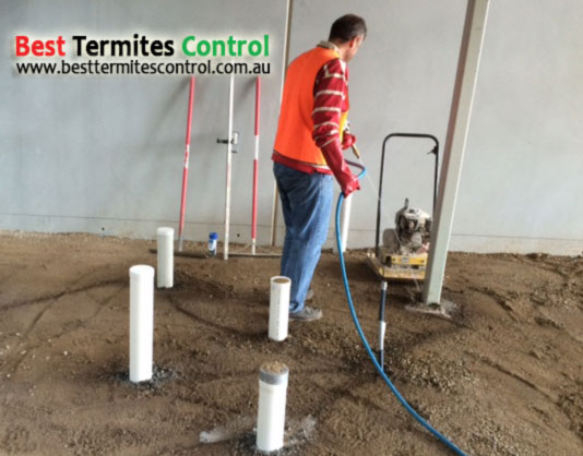  Termites Treatment in Doncaster
